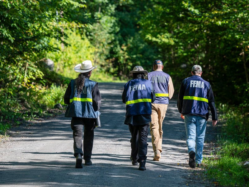 Four FEMA personnel walk down a gravel path surrounded by trees, wearing uniforms with "FEMA" on the back.