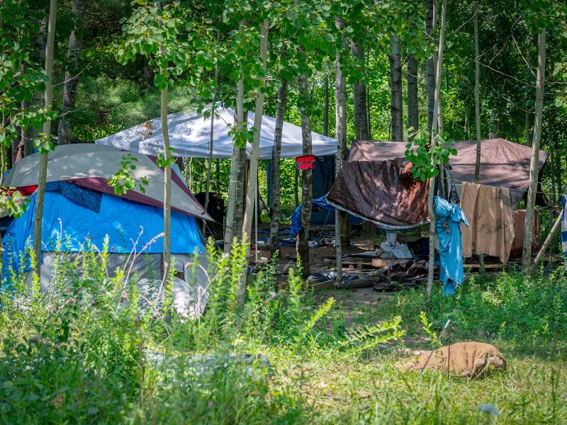 A campsite with tents, tarps, and clothes hanging on lines is set up among trees in a wooded area with green vegetation.