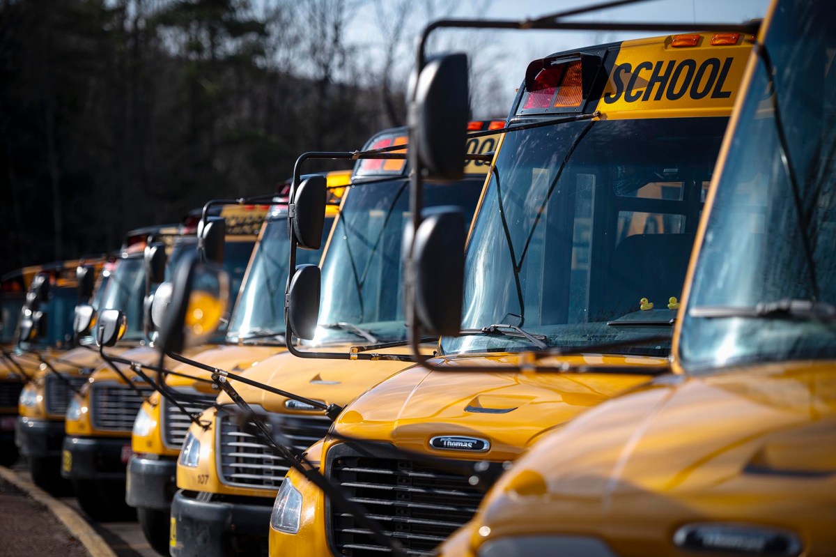 A row of yellow school buses.