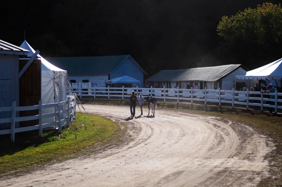 Three people walk along a curved dirt path between white fences and buildings at what appears to be a fairground or rural event.